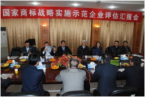 國家商標戰(zhàn)略實施示范工作督導組到仁和集團檢查指導工作
