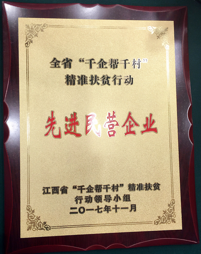 仁和集團(tuán)喜獲江西省“千企幫千村”先進(jìn)民營(yíng)企業(yè)