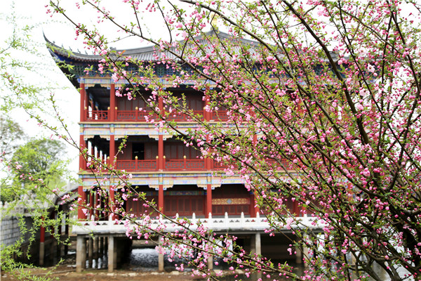 1522023676233012385.jpg 1IMG_3666.jpg