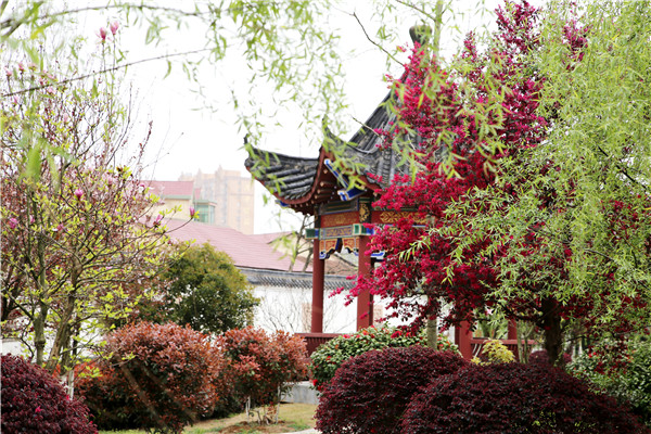 1522023718577011703.jpg 1IMG_3914.jpg